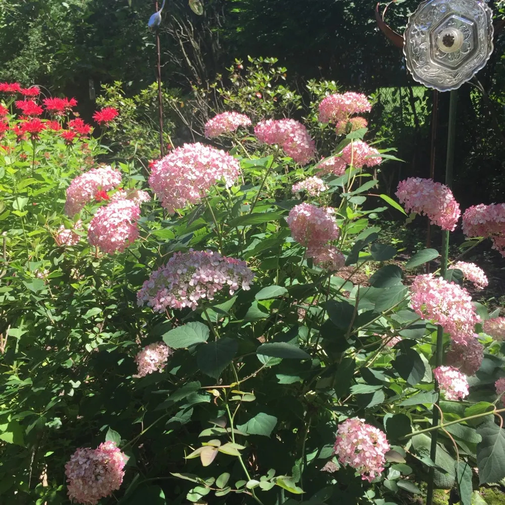 too-young.bsky.social's profile picture