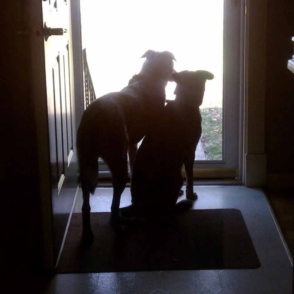 sws1972.bsky.social's profile picture