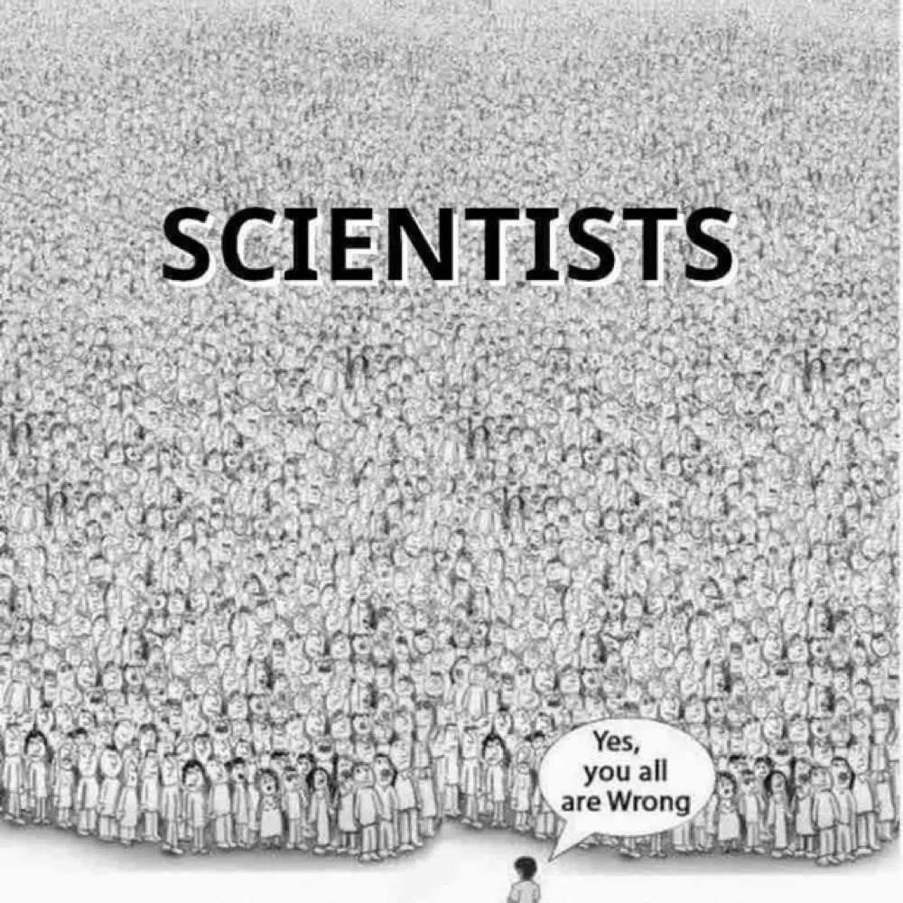 coonavass.bsky.social's profile picture