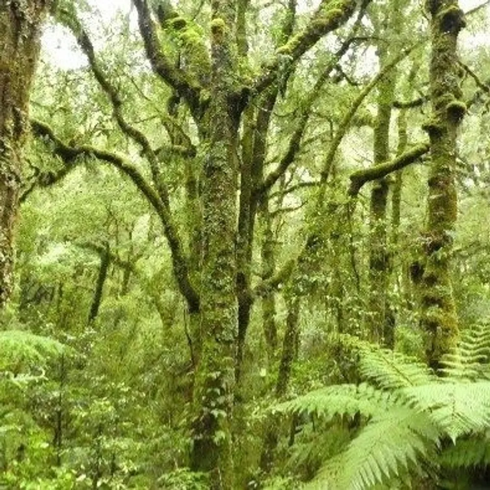 cosmoguy.bsky.social's profile picture