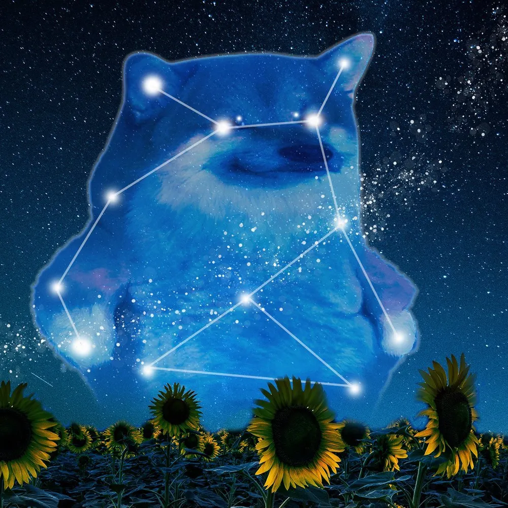 needlenaps.bsky.social's profile picture