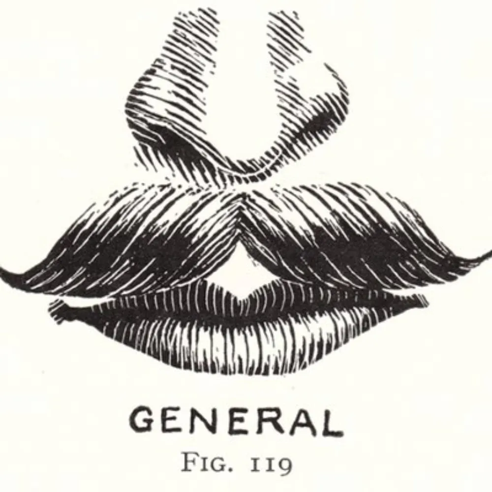 fripperskitter.bsky.social's profile picture