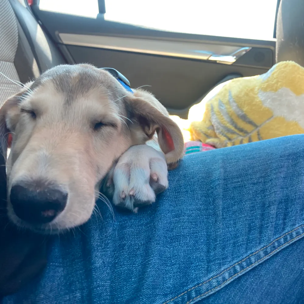 smiley-george.bsky.social's profile picture