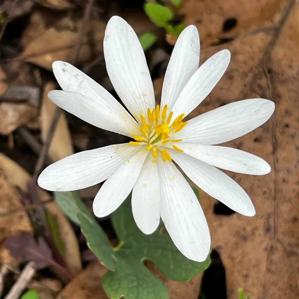 firthermor.bsky.social's profile picture