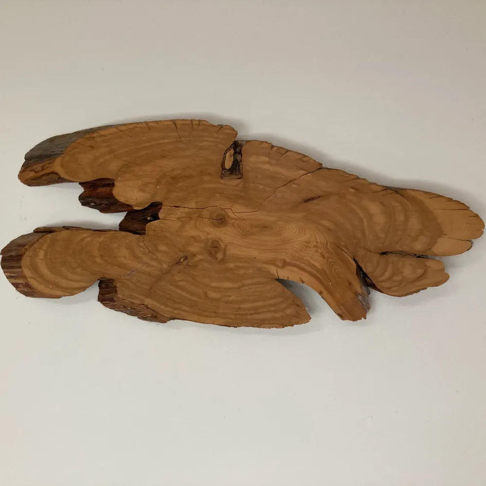 twenty-two.bsky.social's profile picture