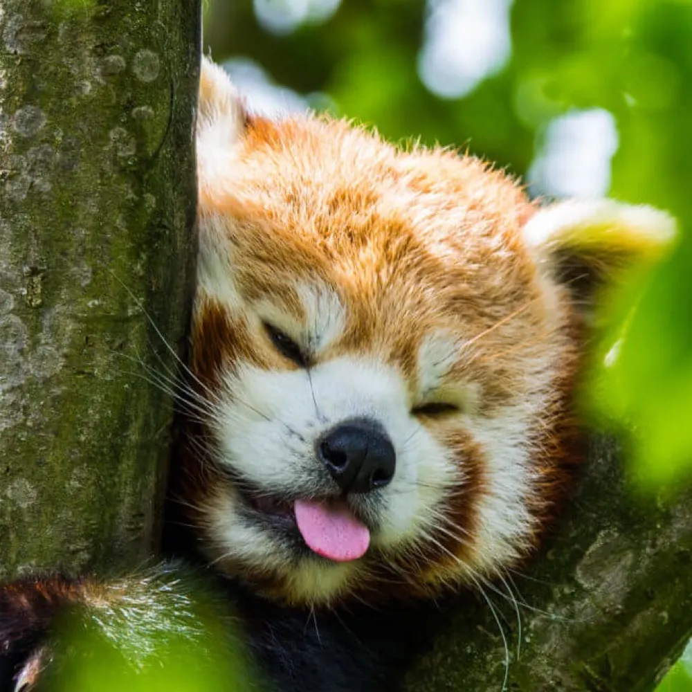 babblingfringe.bsky.social's profile picture