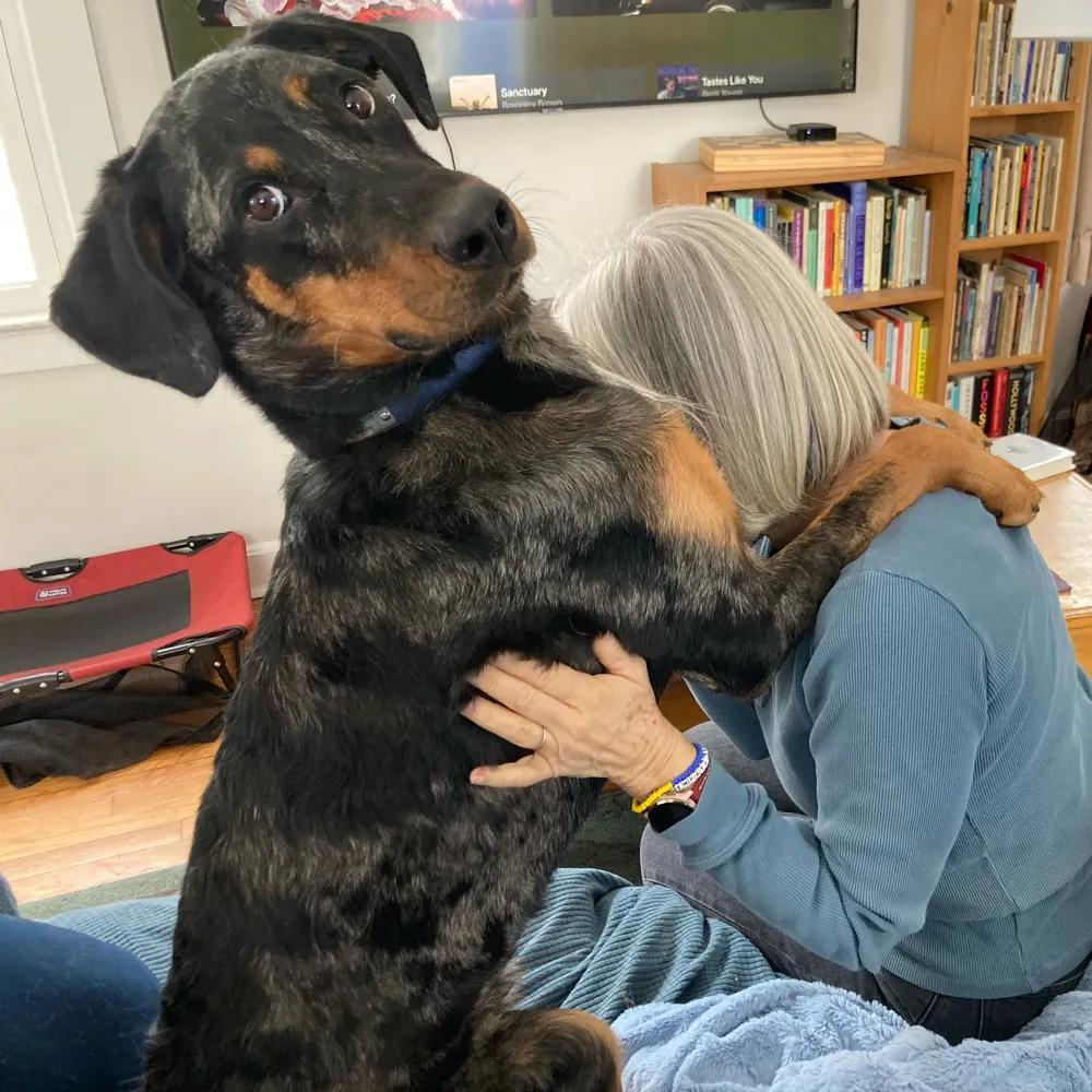 robottwyla.bsky.social's profile picture