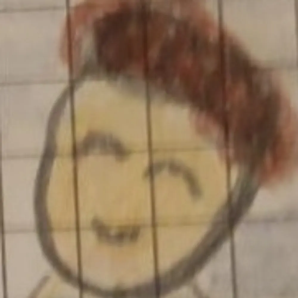 nuggetthenonbiner.bsky.social's profile picture