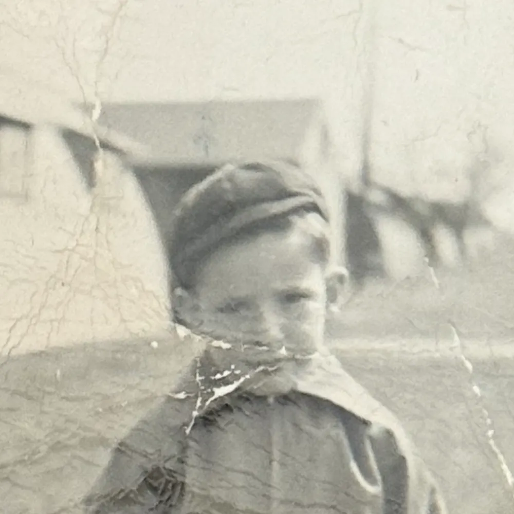 dmgerstein.bsky.social's profile picture