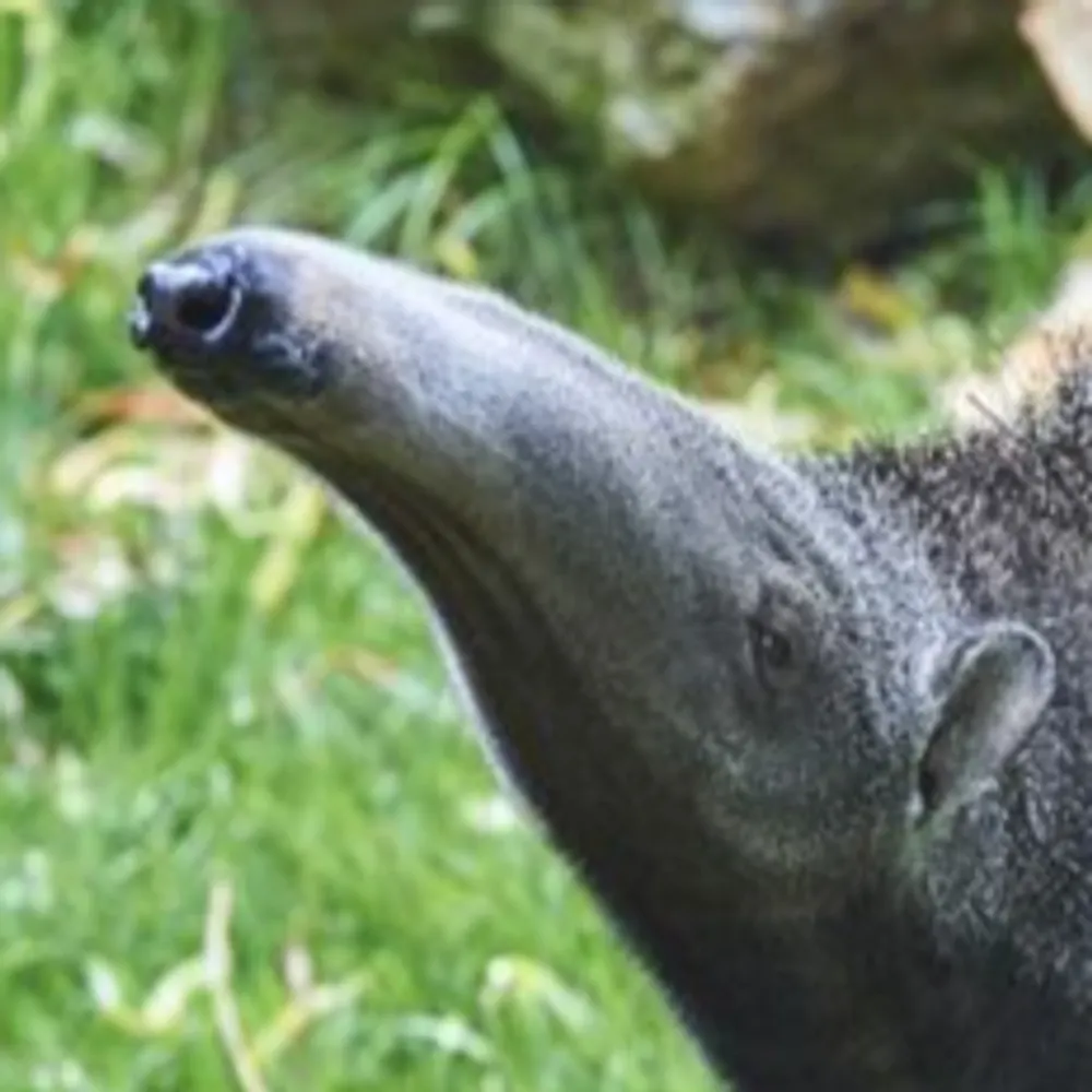 absolutepinnacle.bsky.social's profile picture