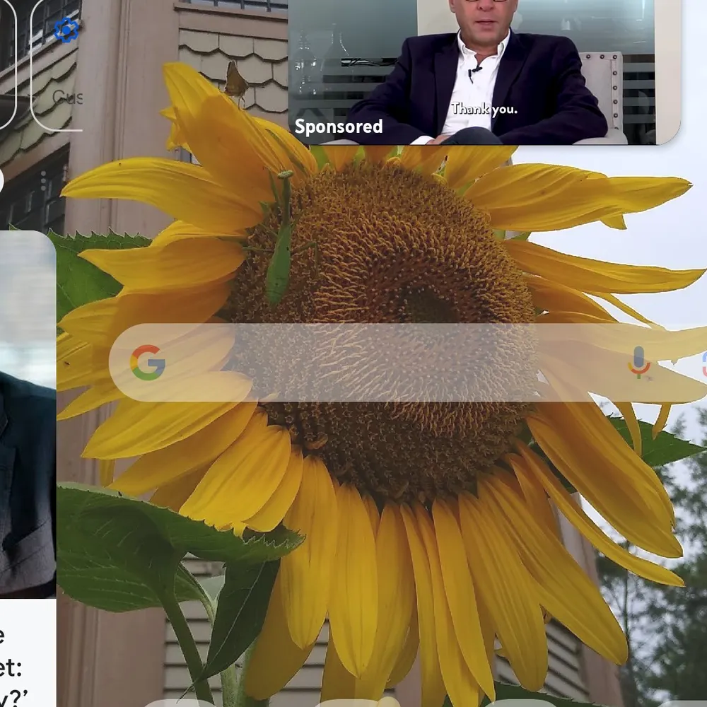 gpac.bsky.social's profile picture