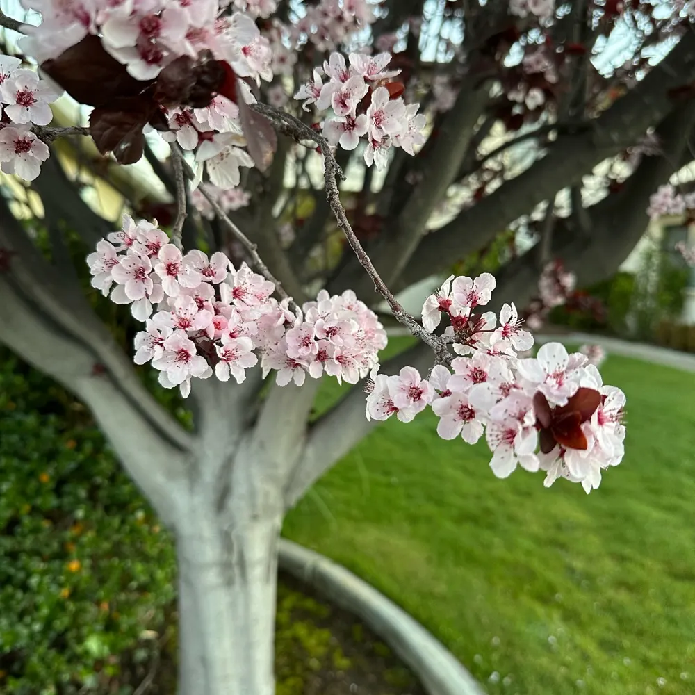 elderlyliberal.bsky.social's profile picture