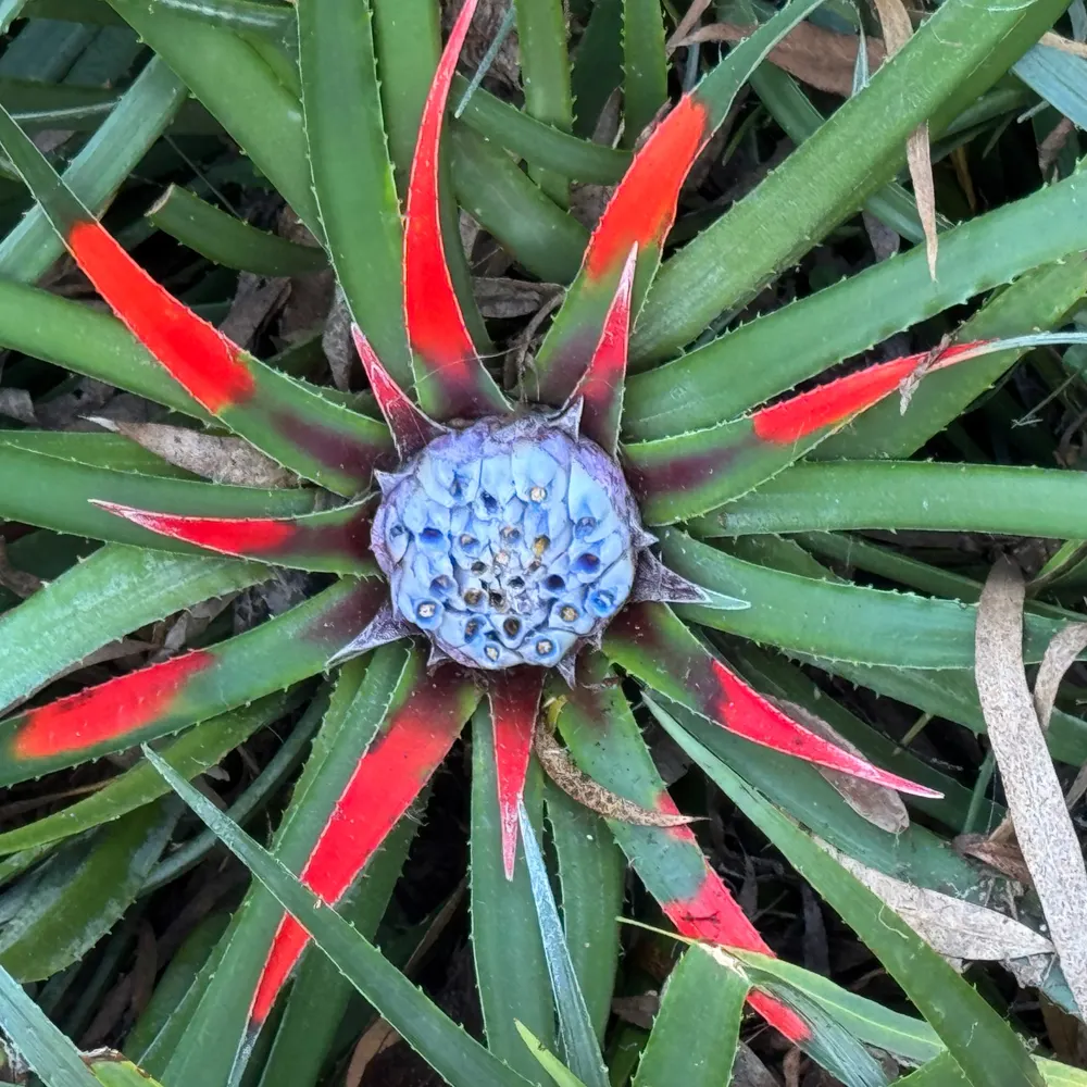 kimoco.bsky.social's profile picture