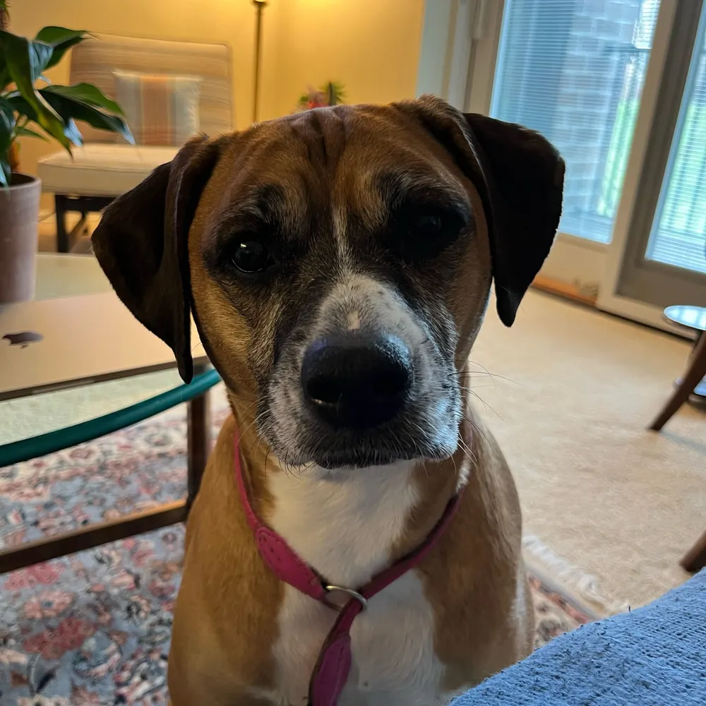 grumblekitty.bsky.social's profile picture