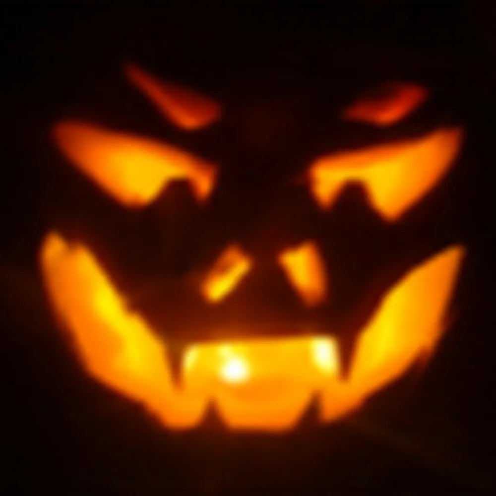 bokkibear.bsky.social's profile picture