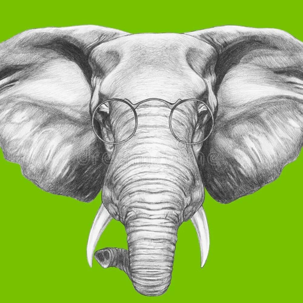 elephantasmagoria.bsky.social's profile picture