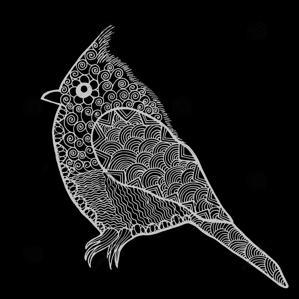 kaktusbird.bsky.social's profile picture