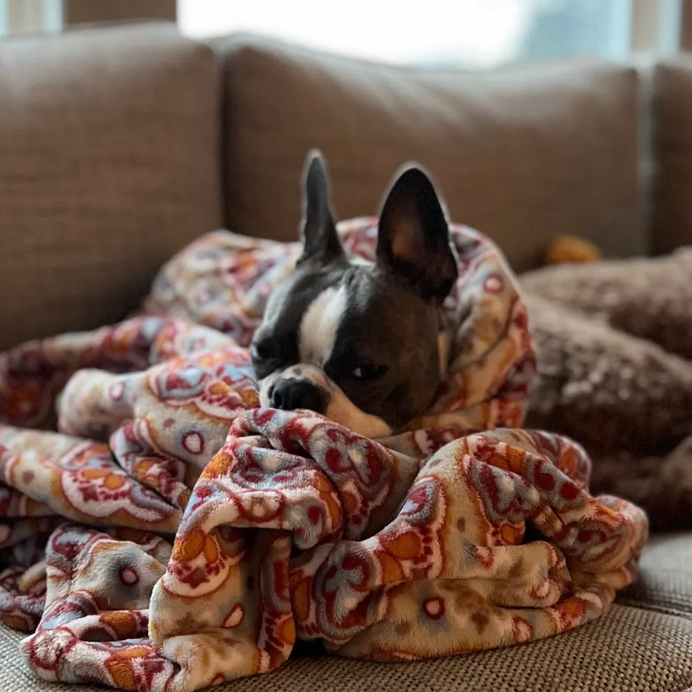 resistance247.bsky.social's profile picture