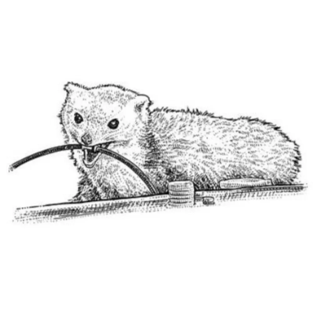 turgidjacobian.bsky.social's profile picture