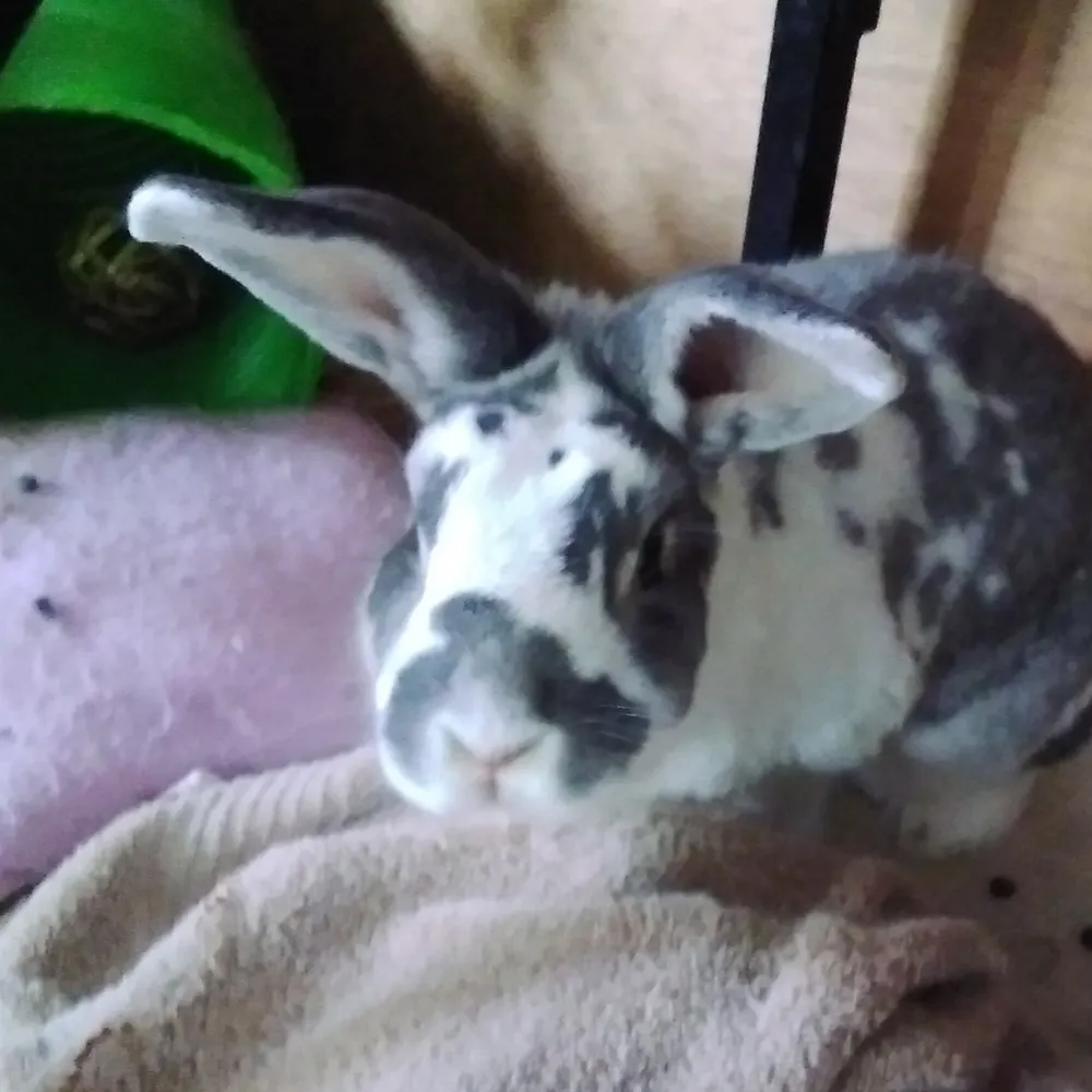 kjh17.bsky.social's profile picture