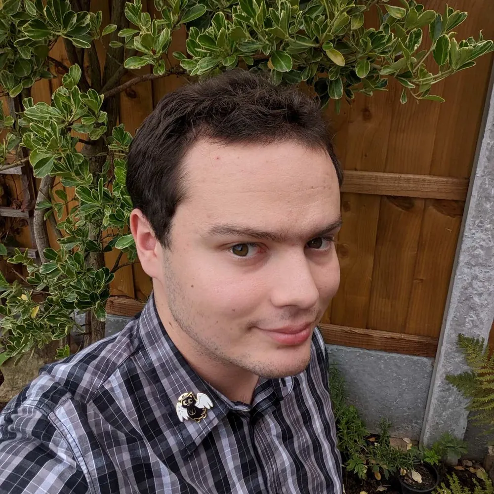 anordinarypenguin.bsky.social's profile picture