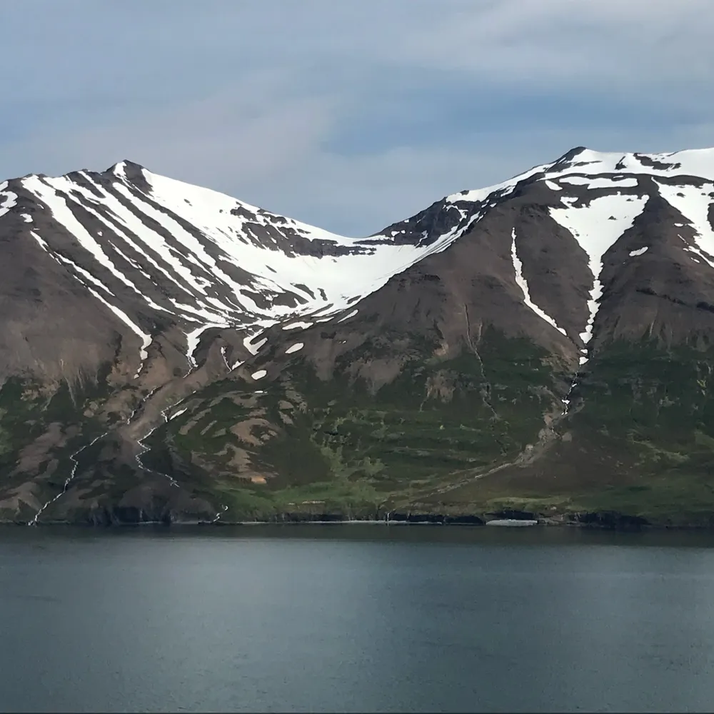 digory29.bsky.social's profile picture