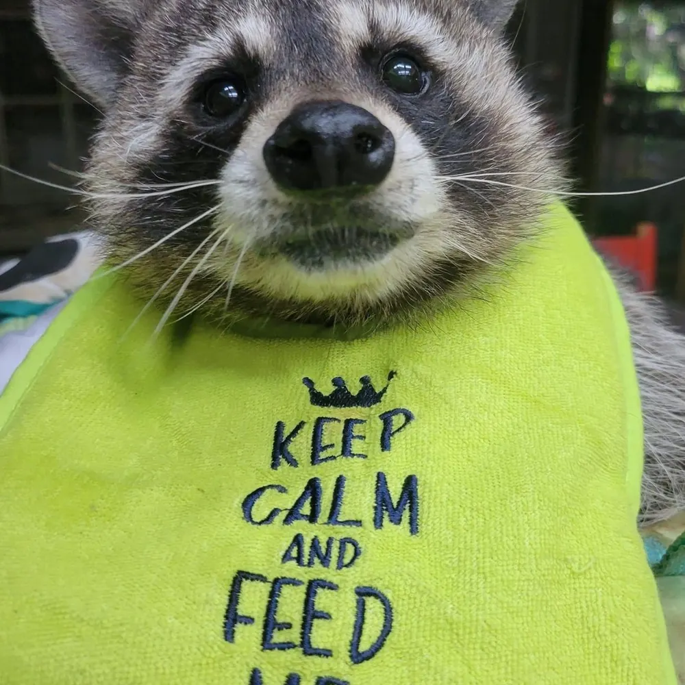 josh592.bsky.social's profile picture