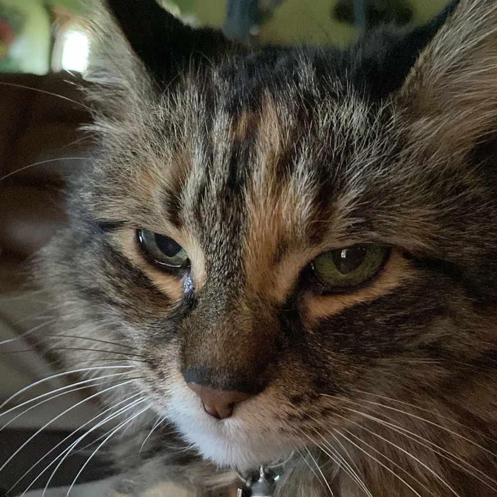 legerdemain100.bsky.social's profile picture