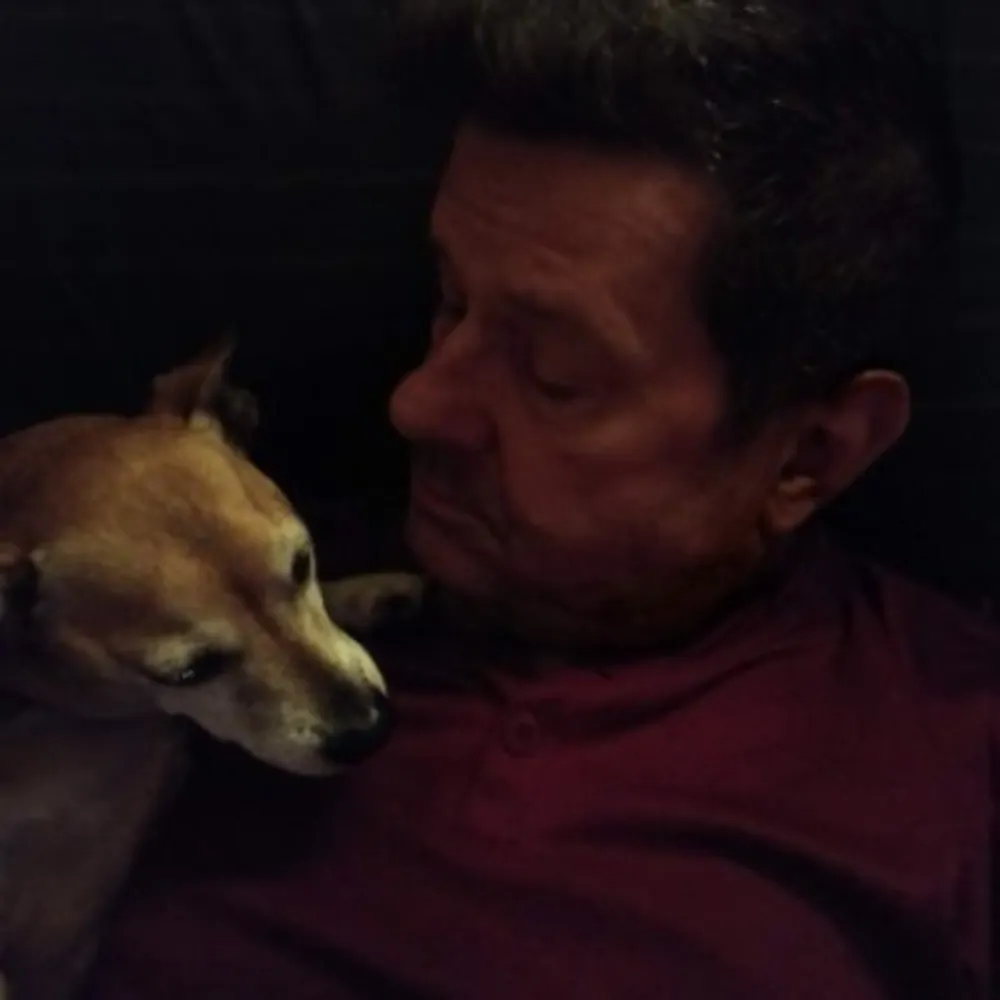 scottland.one's profile picture