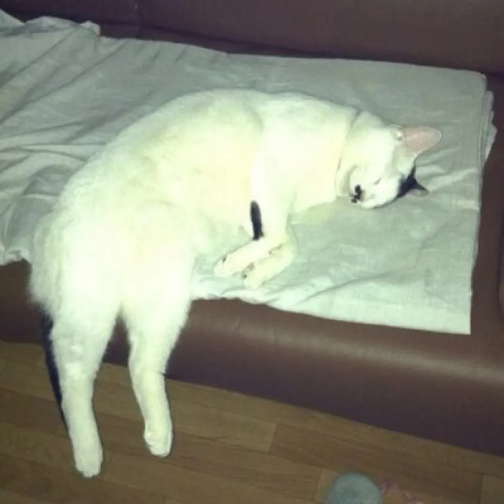 krogerfoot.bsky.social's profile picture