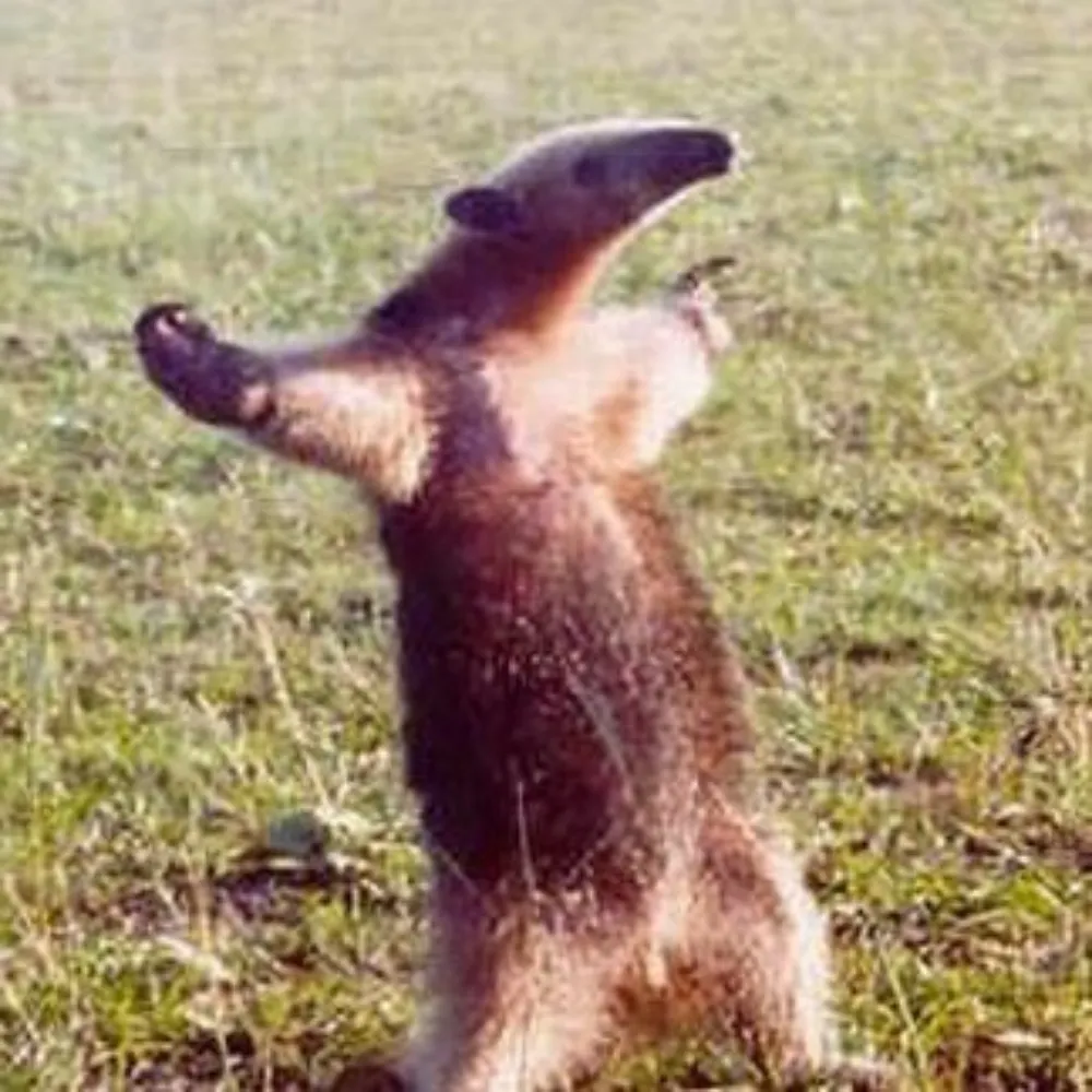 justinlevitt.bsky.social's profile picture