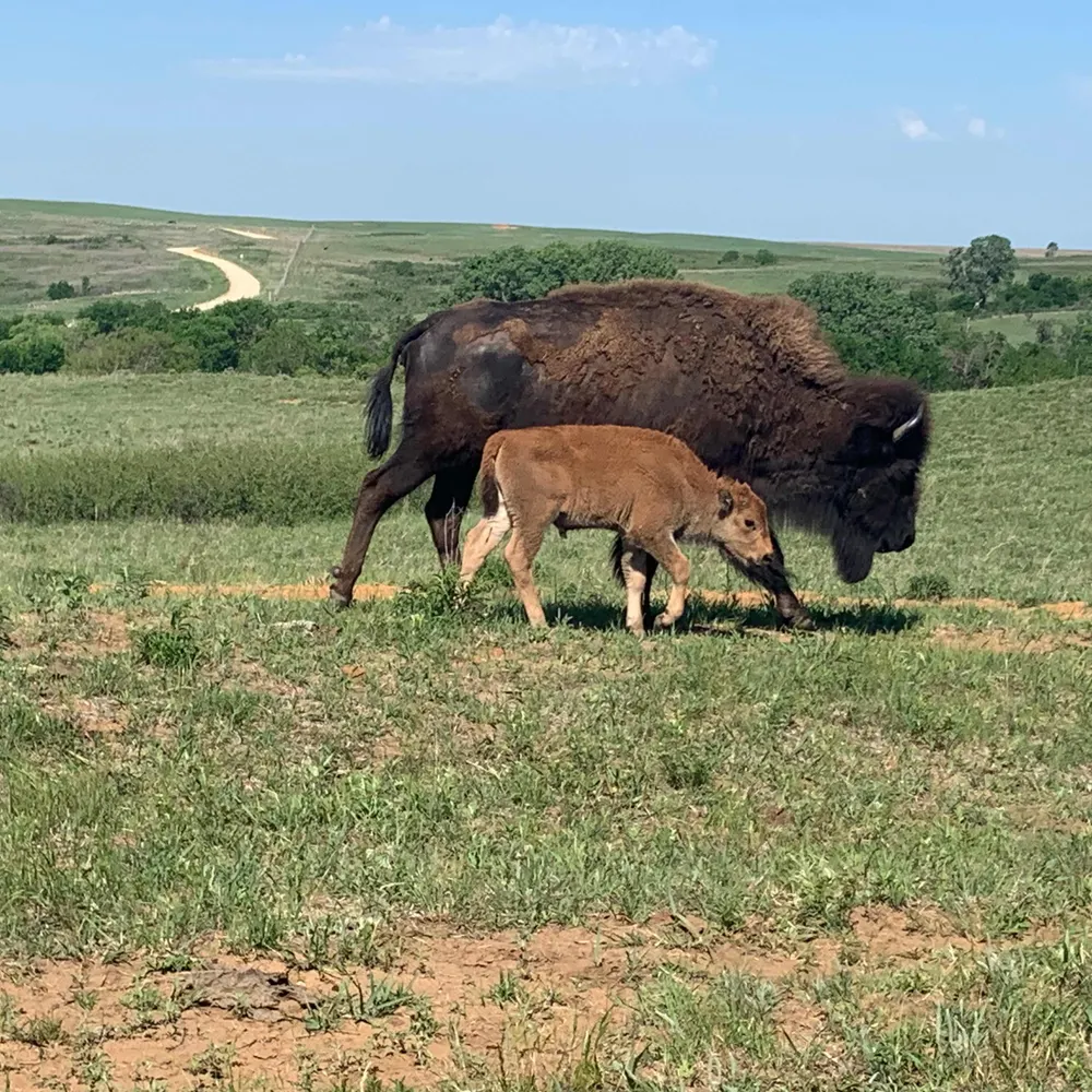 twinkb23.bsky.social's profile picture