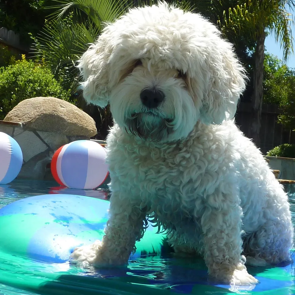 hirtzsogood.bsky.social's profile picture