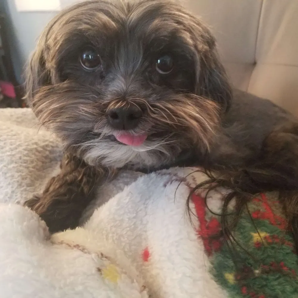 carolinefan.bsky.social's profile picture