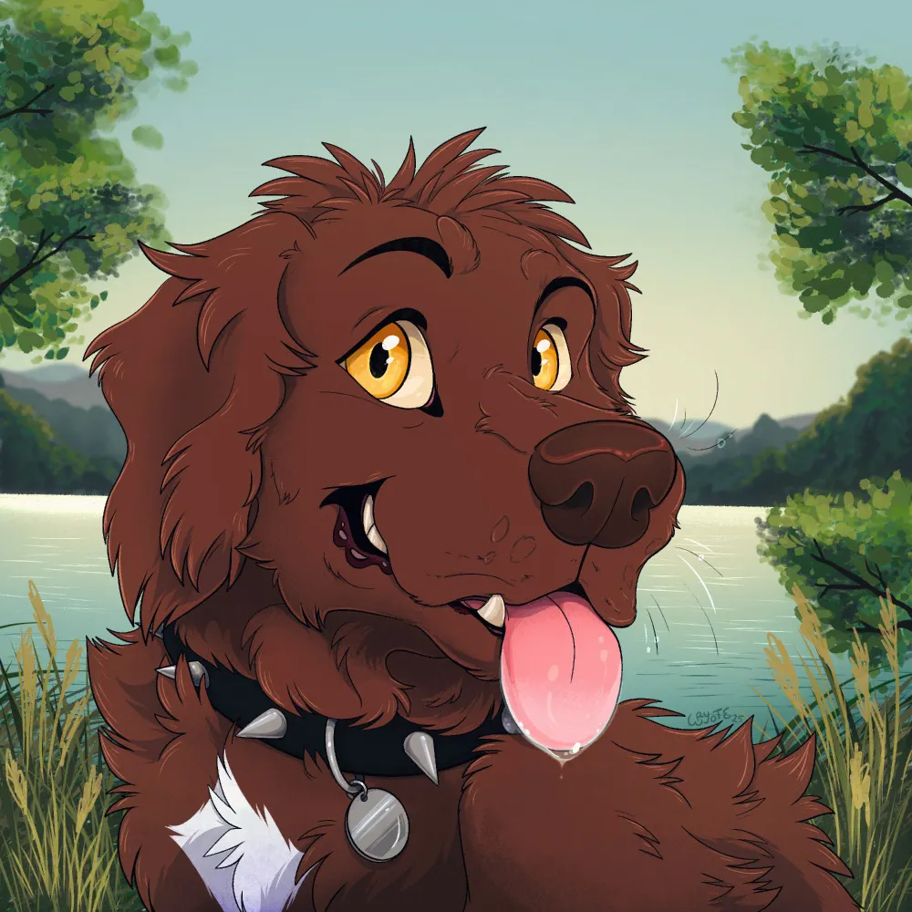 ed.dog's profile picture