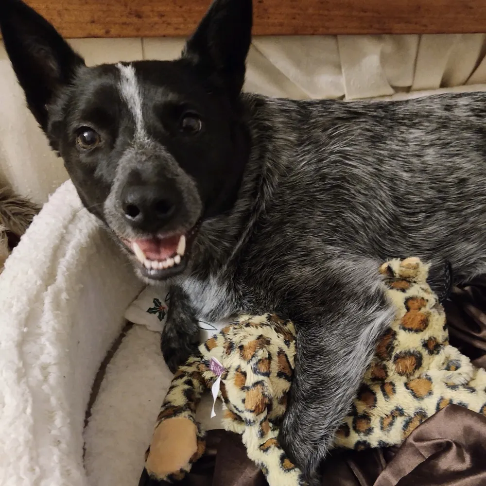 stoputknow.bsky.social's profile picture