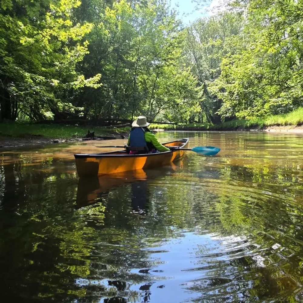 drdefbef.bsky.social's profile picture