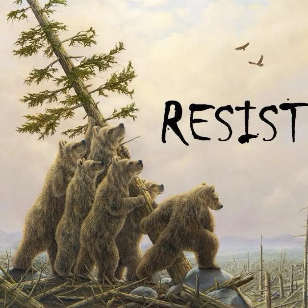 wahalote.bsky.social's profile picture