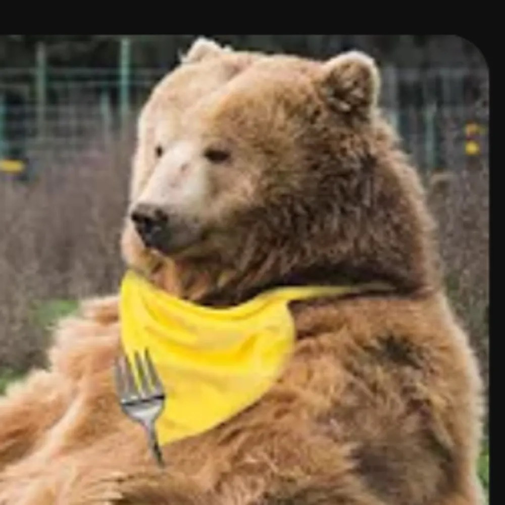 potatoesarereal.bsky.social's profile picture