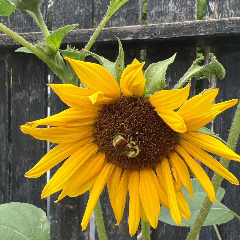 missbianca25.bsky.social's profile picture