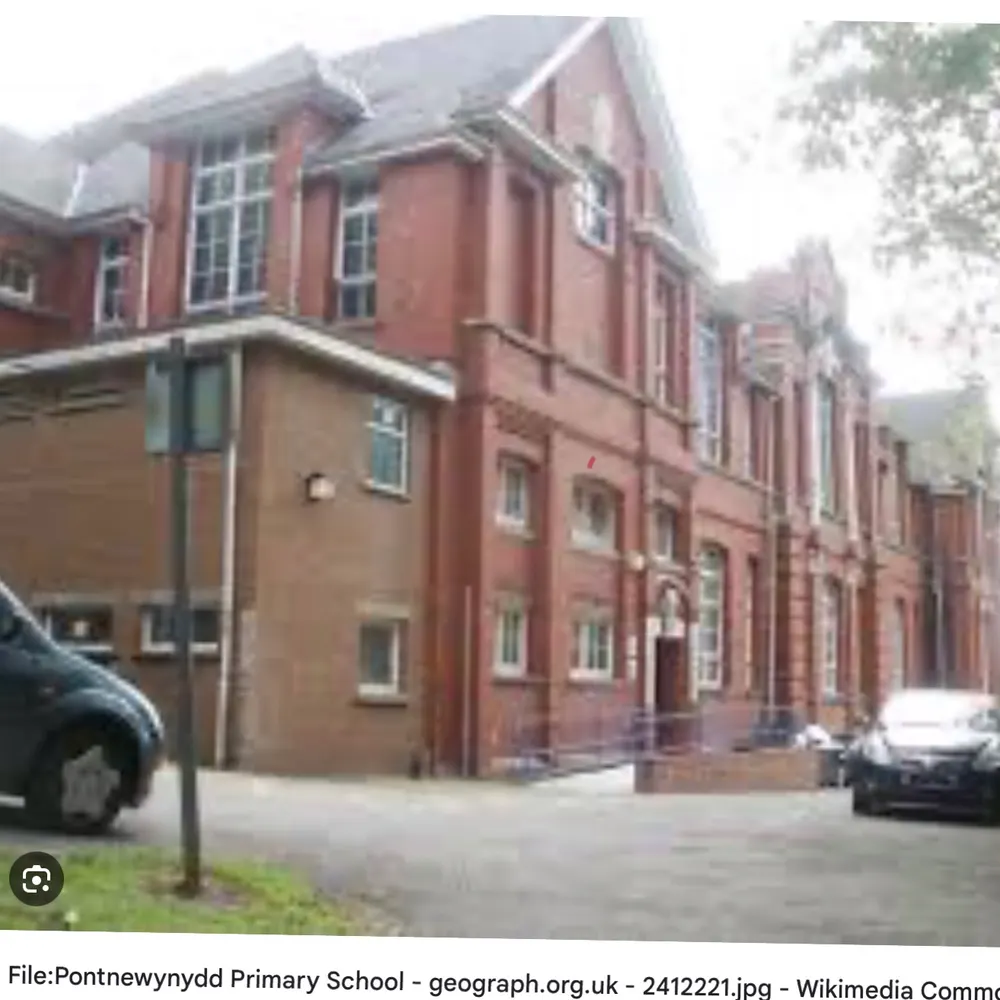 wceebee.bsky.social's profile picture