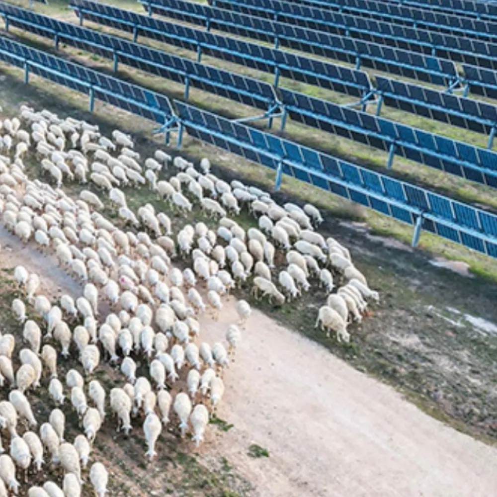 yes2renewablesuk.bsky.social's profile picture