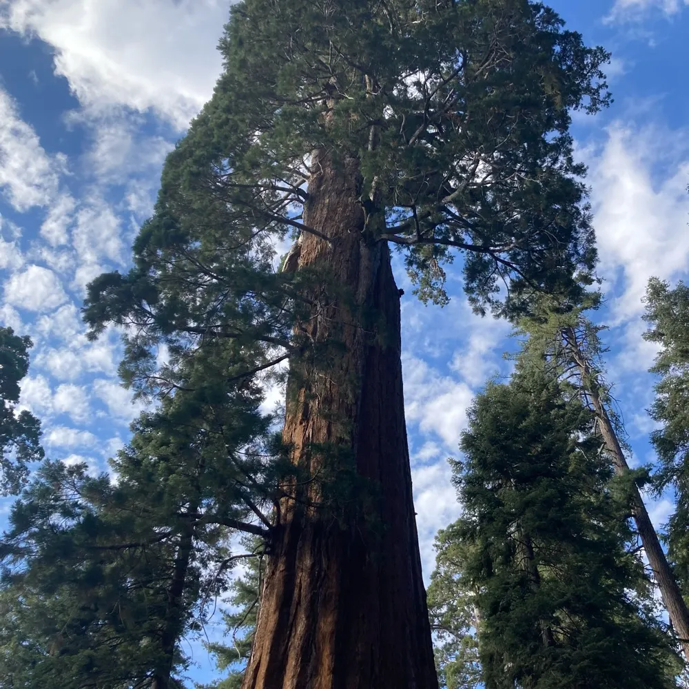 aquadelphi.bsky.social's profile picture