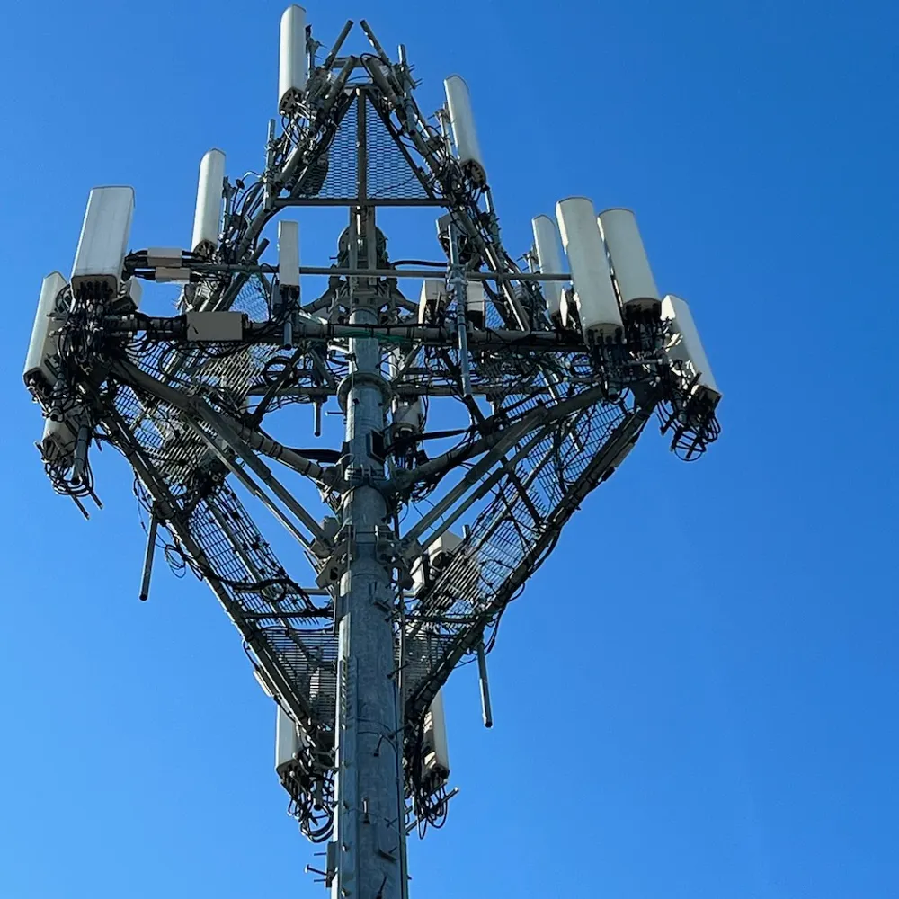 dogsolitude.bsky.social's profile picture