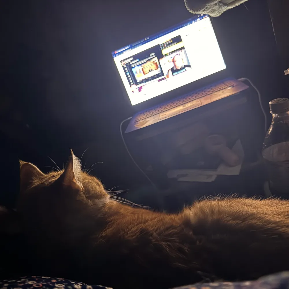 fckelnmskthnzbllnr.bsky.social's profile picture