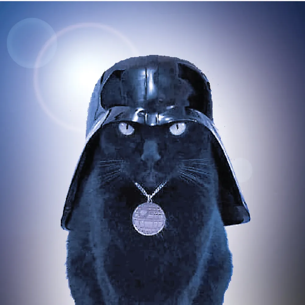 funpuns24.bsky.social's profile picture