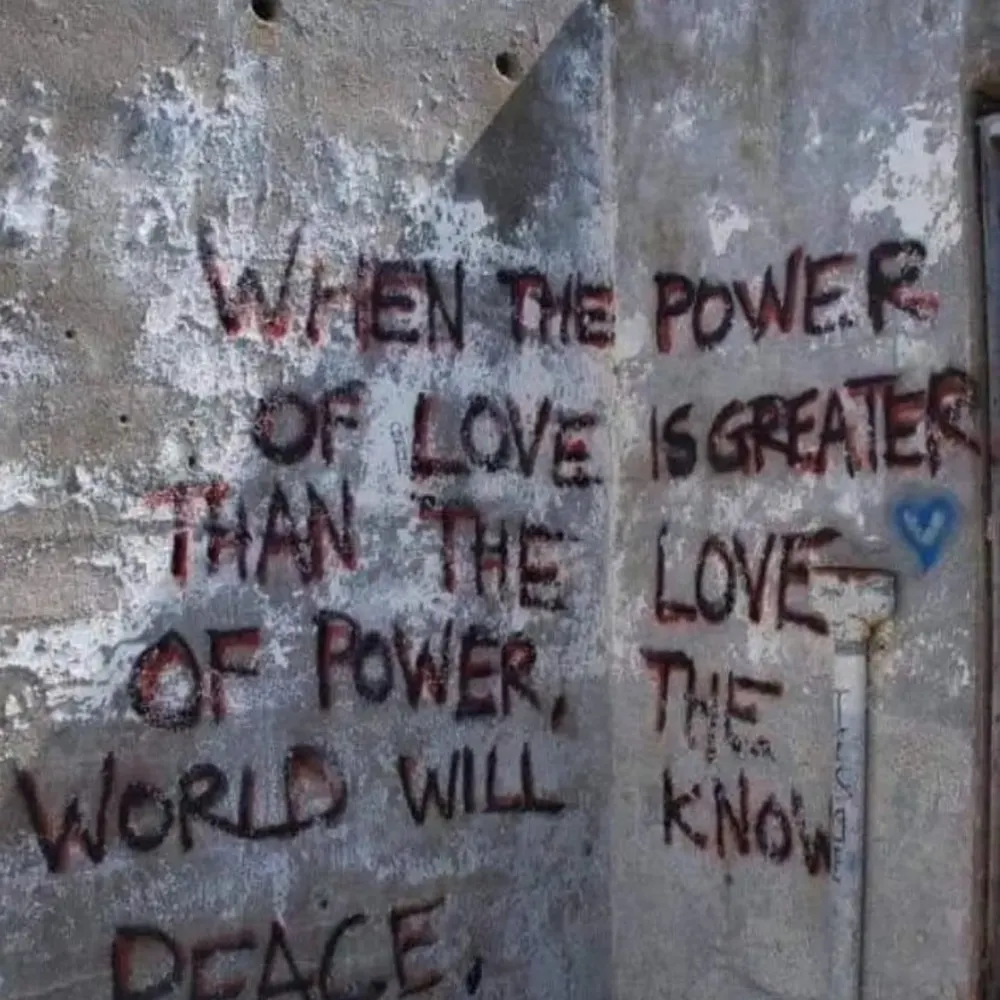 mnlisa.bsky.social's profile picture