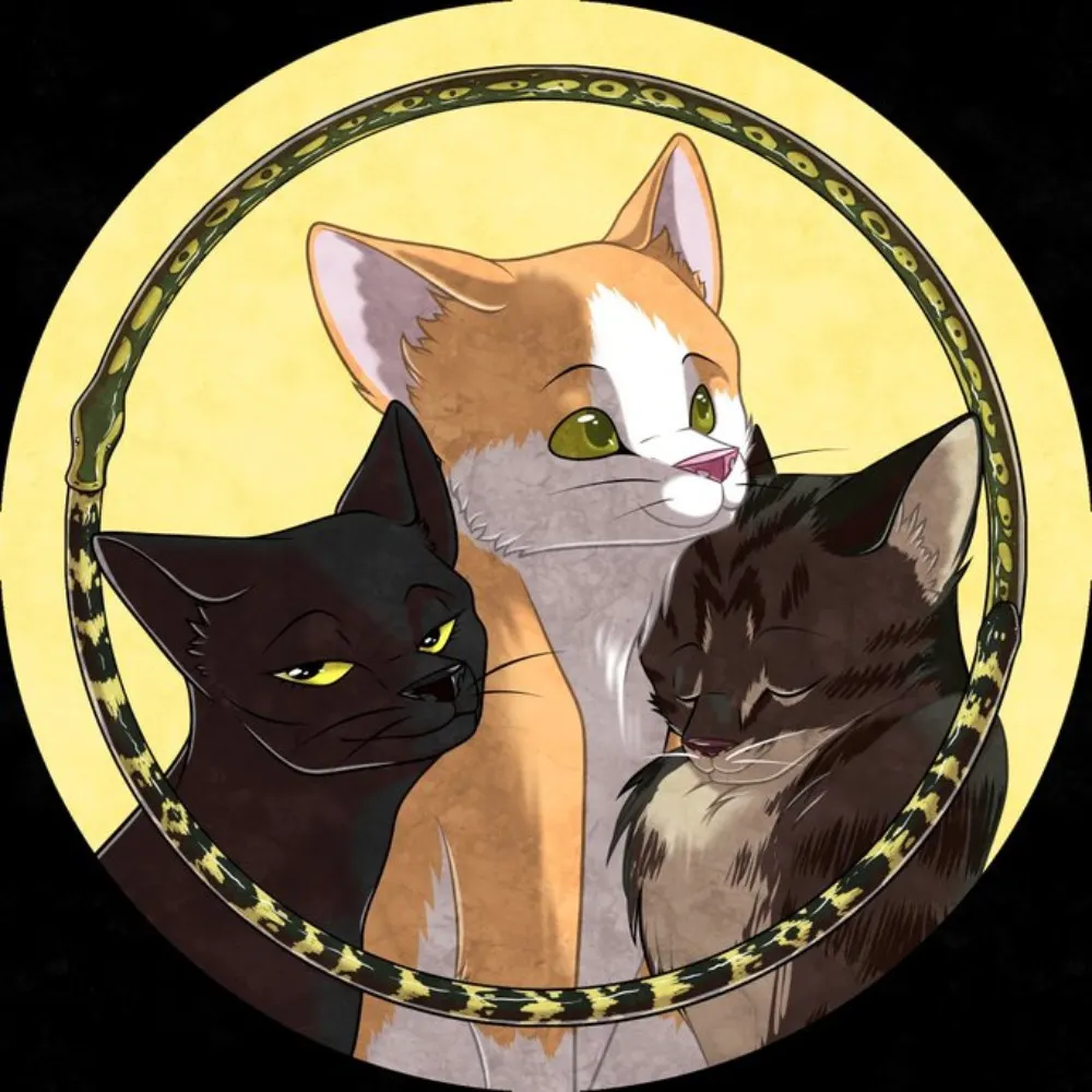 highermagic.bsky.social's profile picture