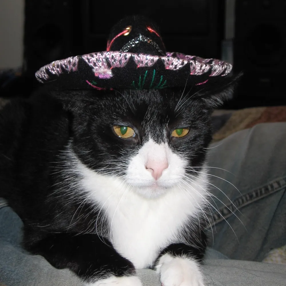 benefiction.bsky.social's profile picture