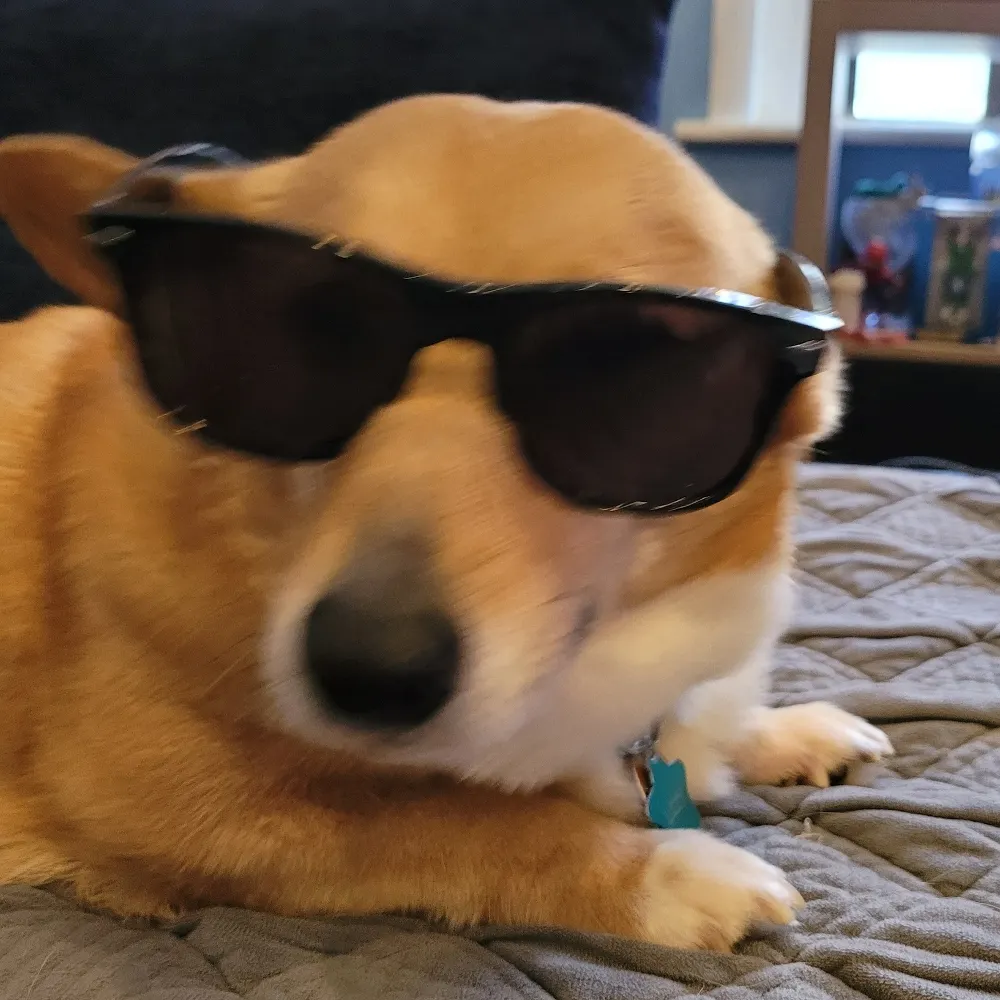 missfrijole.bsky.social's profile picture